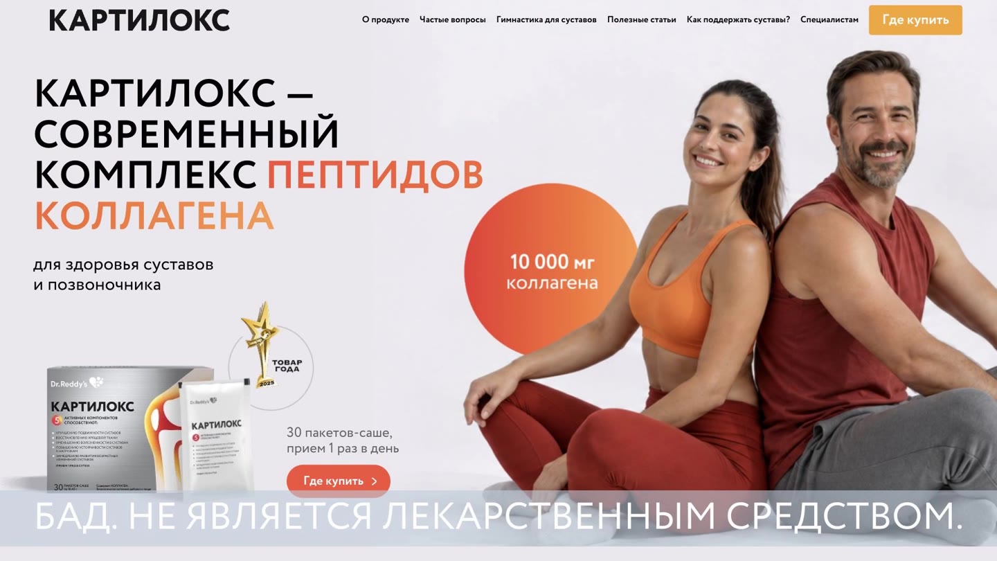 Проект Cartilox